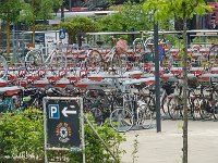 DSC03485 : David von der Mehden