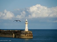 DSC05341 : David von der Mehden