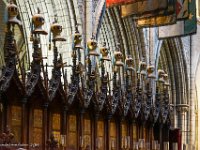 DSC05360 : David von der Mehden