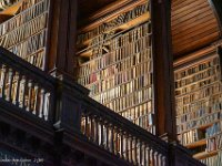 DSC05373 : David von der Mehden