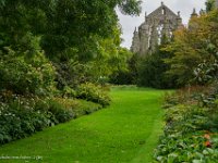 DSC05473 : David von der Mehden