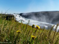 DS603266 : David von der Mehden