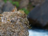 DSC01583 : David von der Mehden