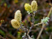 DSC01632 : David von der Mehden
