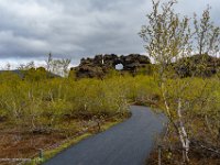 DSC01638 : David von der Mehden