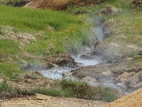 DSC01737 : David von der Mehden