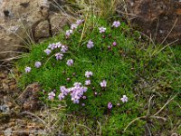 DSC01748 : David von der Mehden