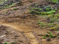 DSC01750 : David von der Mehden