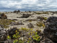 DSC01755 : David von der Mehden