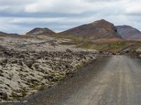 DSC01763 : David von der Mehden