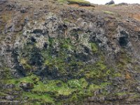 DSC01766 : David von der Mehden