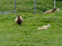 DSC01776 : David von der Mehden