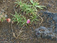 DSC01784 : David von der Mehden