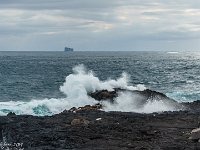 DSC03189 : David von der Mehden