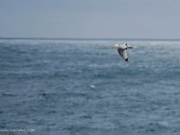 DSC03192 : David von der Mehden