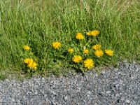 DSC03269 : David von der Mehden