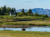 DSC03275 : David von der Mehden