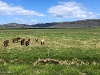 IMG 5842 : David von der Mehden