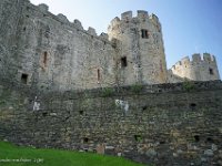 DS604051 : David von der Mehden