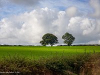 DSC05590 : David von der Mehden