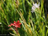 DSC05602 : David von der Mehden