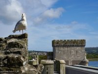 DSC05622 : David von der Mehden