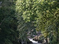 DSC05654 : David von der Mehden