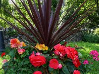 DSC05665 : David von der Mehden