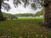 DS603576 : David von der Mehden