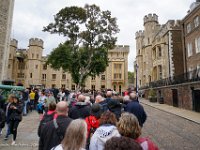 DS603738 : David von der Mehden