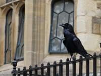 DSC05219 : David von der Mehden