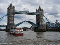 DSC05279 : David von der Mehden