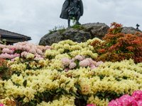 DSC01166 : David von der Mehden