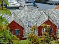 DSC01169 : David von der Mehden