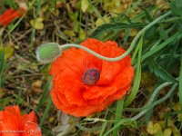 DSC01181 : David von der Mehden