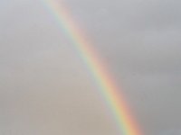 DS601615 : David von der Mehden