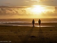 DS601635 : David von der Mehden