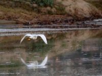 DS601701 : David von der Mehden