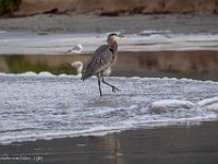 DS601709 : David von der Mehden