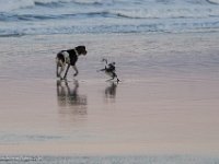 DS601738 : David von der Mehden