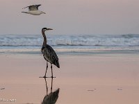 DS601781 : David von der Mehden