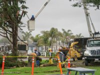 DS601799 : David von der Mehden