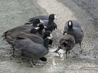 DS601817 : David von der Mehden