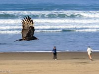 DSC00034 : David von der Mehden