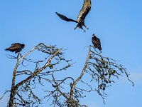 DSC00041 : David von der Mehden