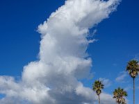 DSC00080 : David von der Mehden