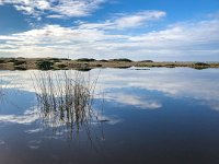 IMG 1870 : David von der Mehden