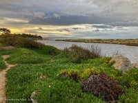 IMG 1891 : David von der Mehden