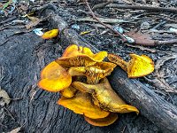 IMG 1897 : David von der Mehden