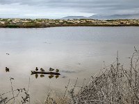 IMG 1900 : David von der Mehden